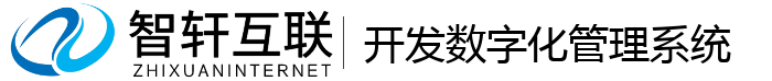 开发数字化管理系统